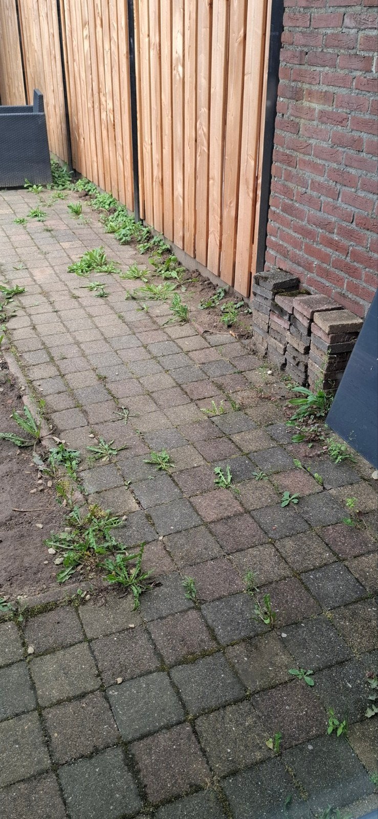 Gebruikte terrastegels - Ideaal voor tuinpad of terras, Tuin en Terras, Tegels en Klinkers, Ophalen, Gebruikt, 5 tot 10 m², Beton
