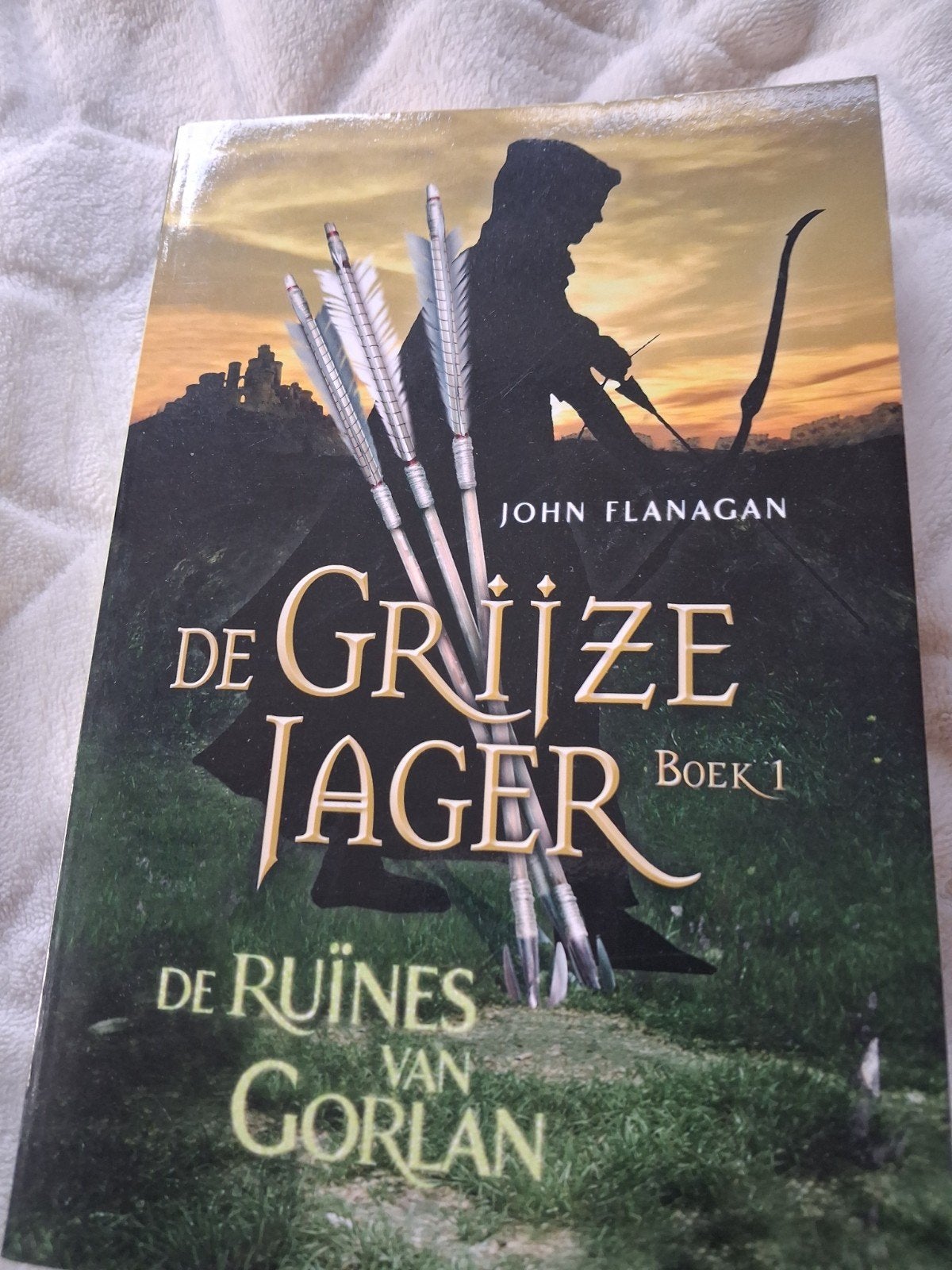De Grijze Jager Boek 1: De Ruïnes van Gorlan - John Flanagan, Boeken, Ophalen of Verzenden, Zo goed als nieuw