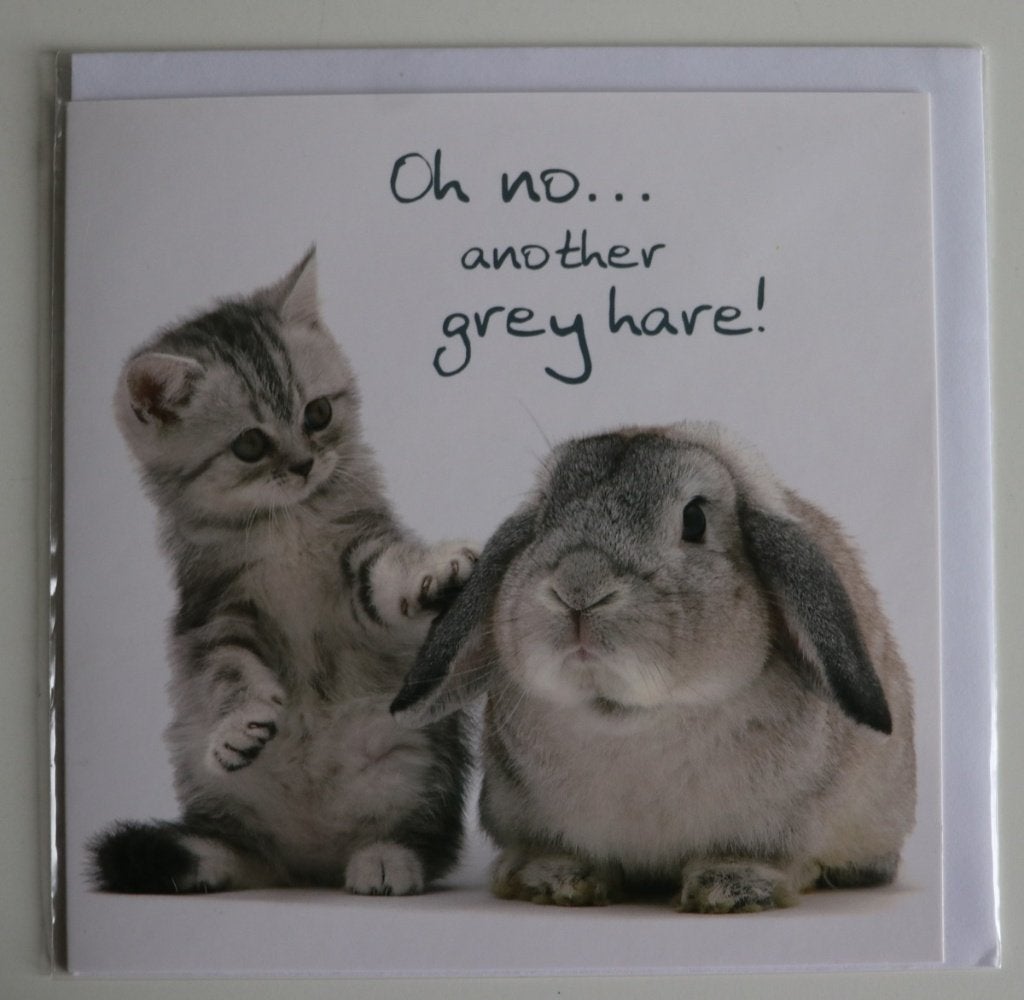 Felicitatie, kat / kitten, konijn: oh no, another grey hare, Ophalen of Verzenden, 1980 tot heden, Ongelopen, Hond of Kat