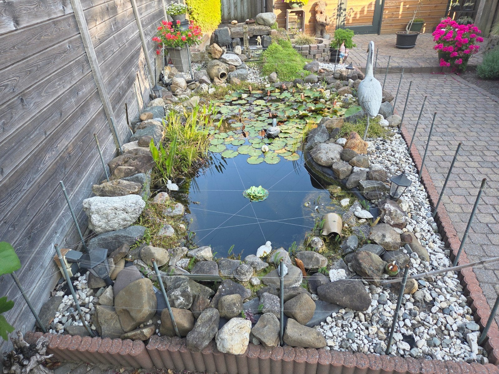 Gratis Vijver sierstenen en eventueel  ook vijver., Tuin en Terras, Ophalen, Gebruikt