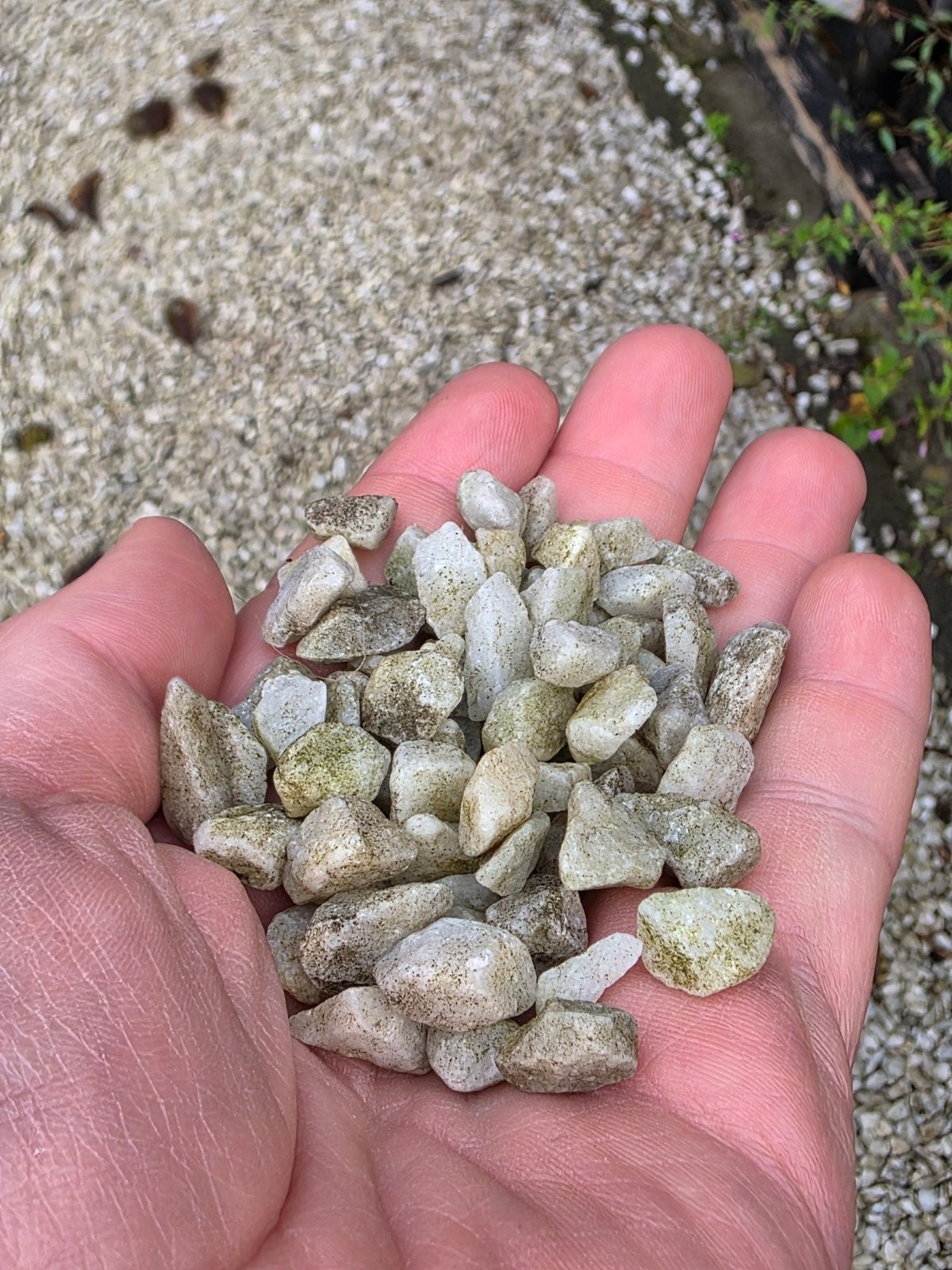 Gratis af te halen: ca. 12 m² wit/crème grind (ik denk carra, Tuin en Terras, Ophalen, Gebruikt, Wit, Grind