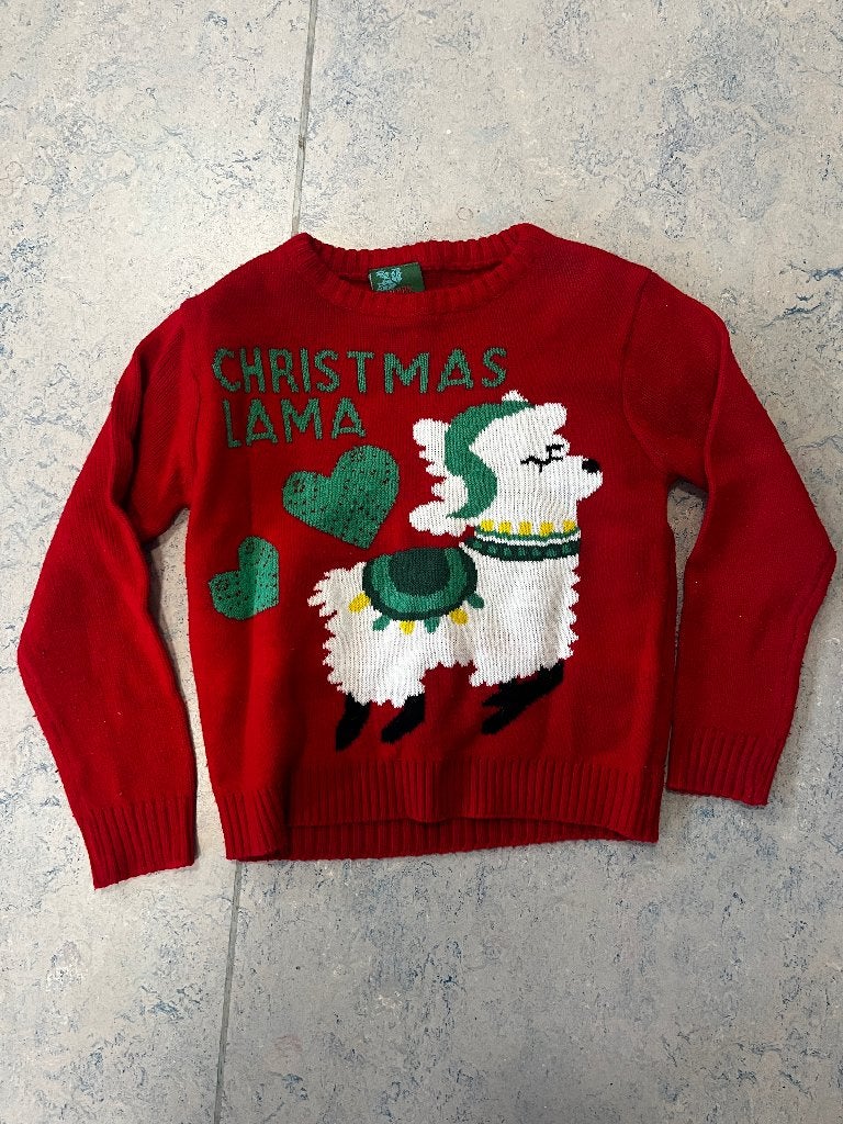 kerst trui, Jongen of Meisje, Trui of Vest, Ophalen of Verzenden, Zo goed als nieuw