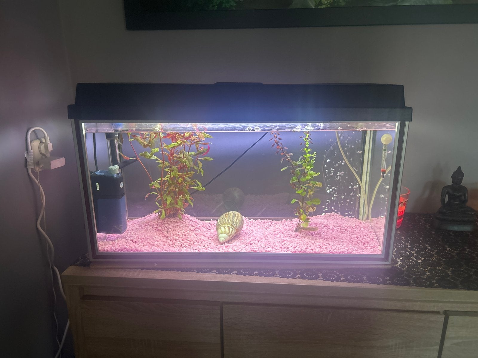 Aquarium 112 liter àlles toebehoren zitten er bij, Ophalen, Zo goed als nieuw, Leeg aquarium