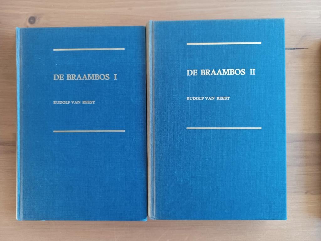 De Braambos I en II, Boeken, Gelezen, Christendom | Protestants, Ophalen of Verzenden, Rudolf van Reest