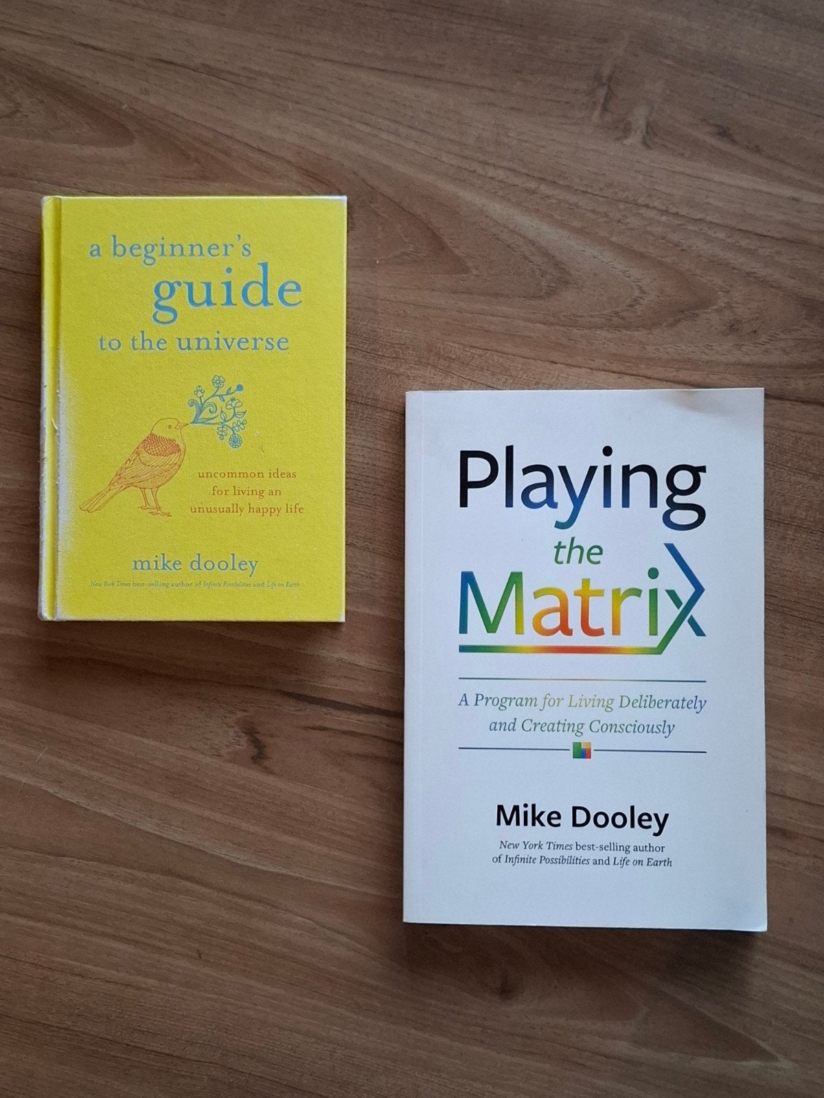 Mike Dooley: A Beginner's Guide & Playing the Matrix, Boeken, Achtergrond en Informatie, Spiritualiteit algemeen, Mike Dooley