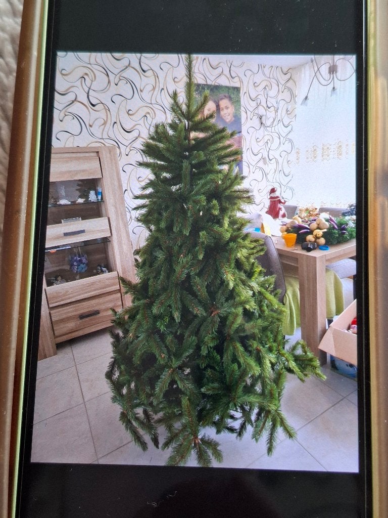 Kerstboom, Ophalen, Gebruikt