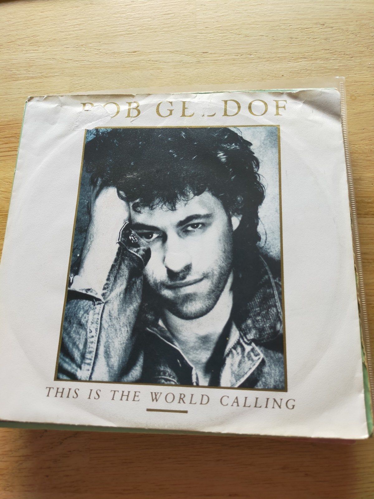 Bob Geldof , this is the world calling, Ophalen of Verzenden, Zo goed als nieuw, Pop