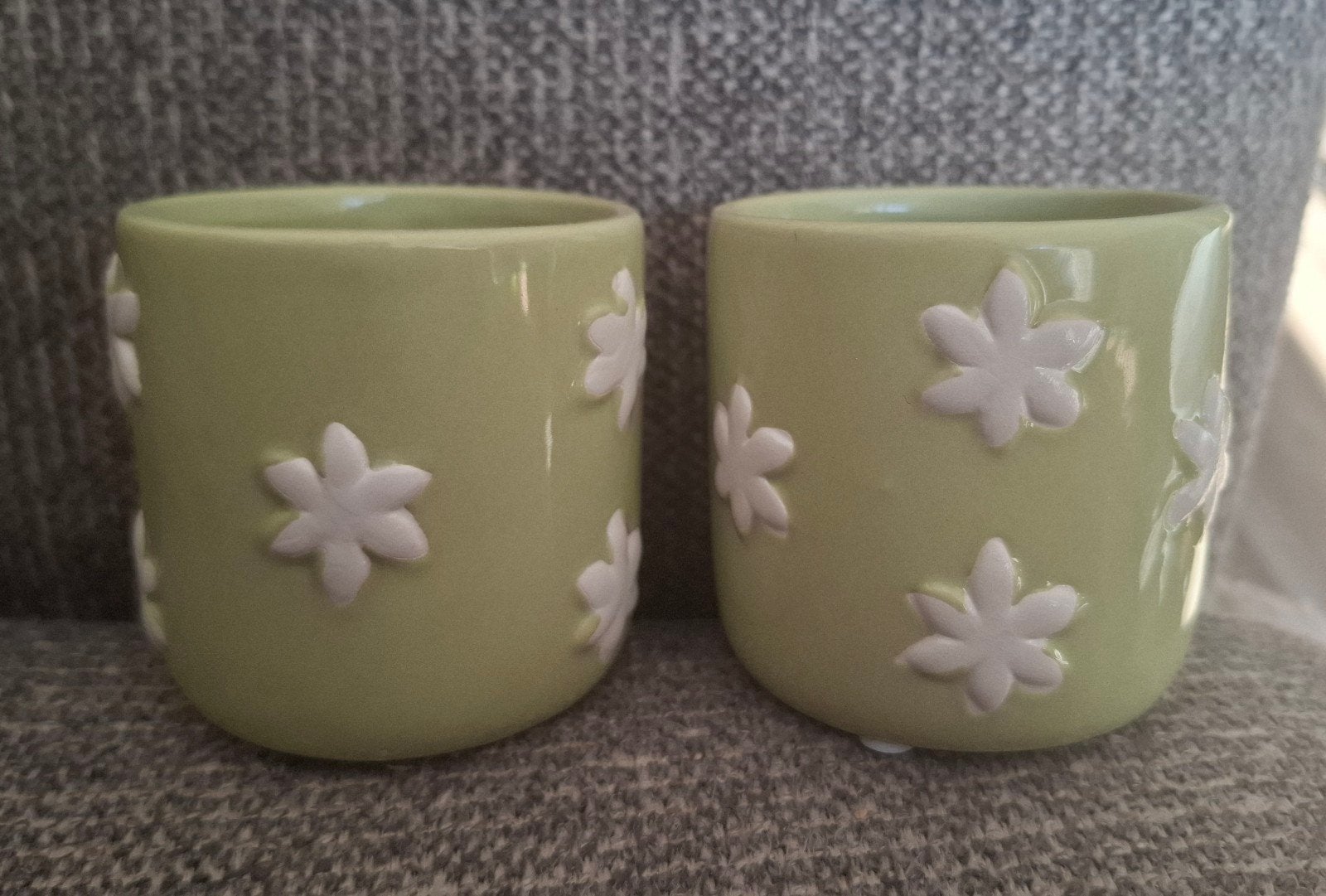 2 kleine groen met witte bloemen bloempotten, potjes

Zijn v, Rond, Binnen, Ophalen of Verzenden, Zo goed als nieuw