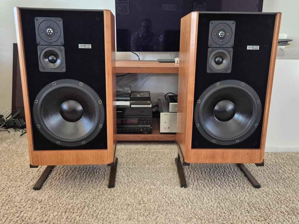 Magnat MSP-180 All Ribbon | Volledig gereviseerd | Topstaat, Audio, Tv en Foto, Luidsprekers, Zo goed als nieuw, Front, Rear of Stereo speakers