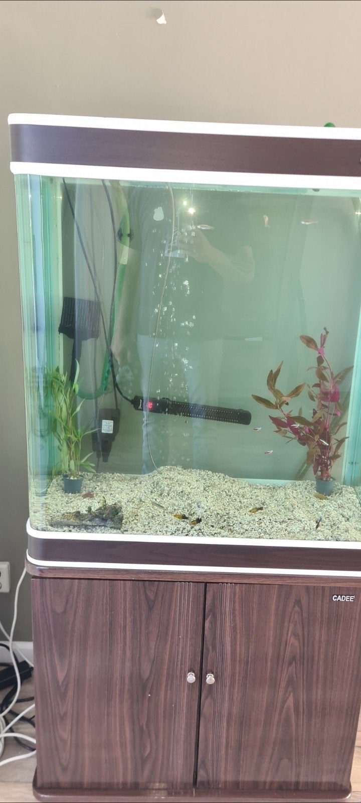 aquarium, Ophalen, Leeg aquarium
