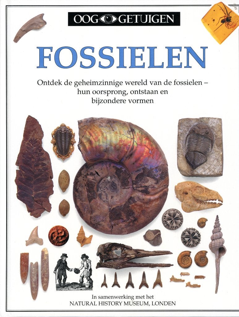 Boek Ooggetuigen: Fossielen - 1e druk 1990 - NIEUWSTAAT, Boeken, Kinderboeken | Jeugd | 10 tot 12 jaar, Ophalen of Verzenden, Zo goed als nieuw