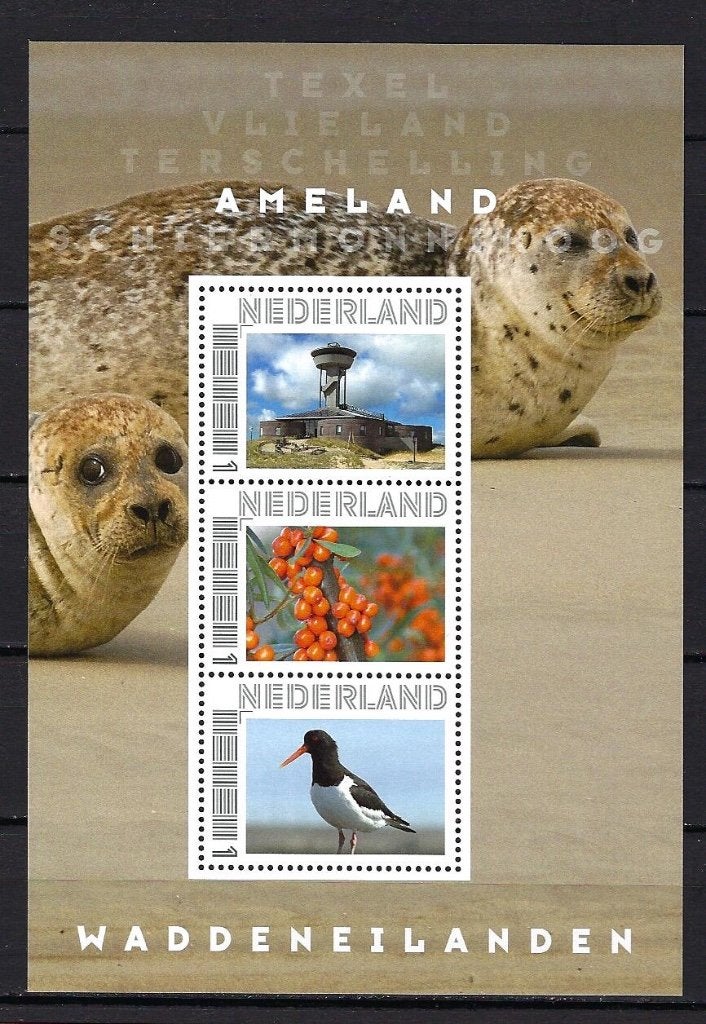 Ameland velletje 3x1, Ophalen of Verzenden, Na 1940, Postfris