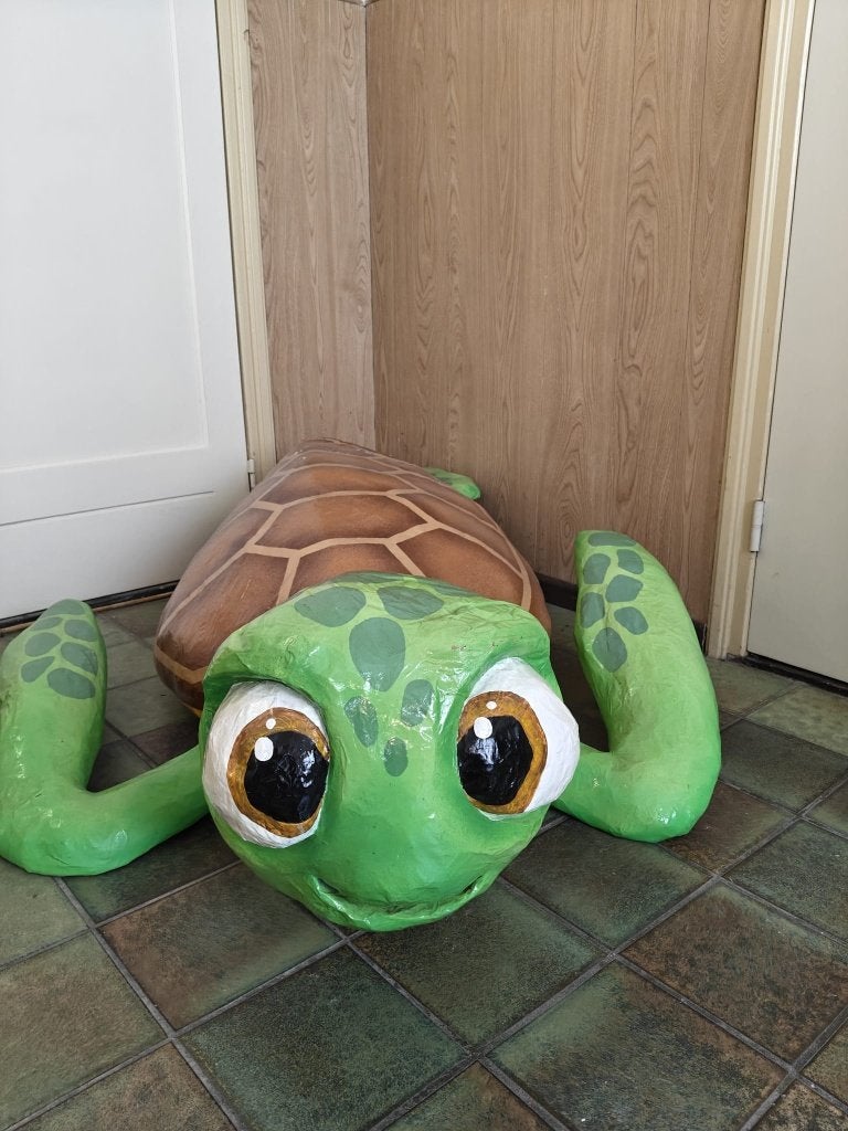 Schildpad en Kreeft carnavals, feest, show, decoratie, Ophalen, Zo goed als nieuw, Overige typen, Carnaval