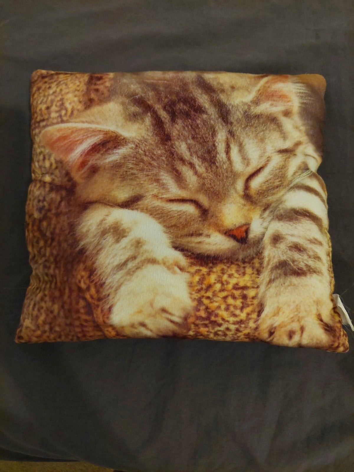 kussen kat, Ophalen, Vierkant