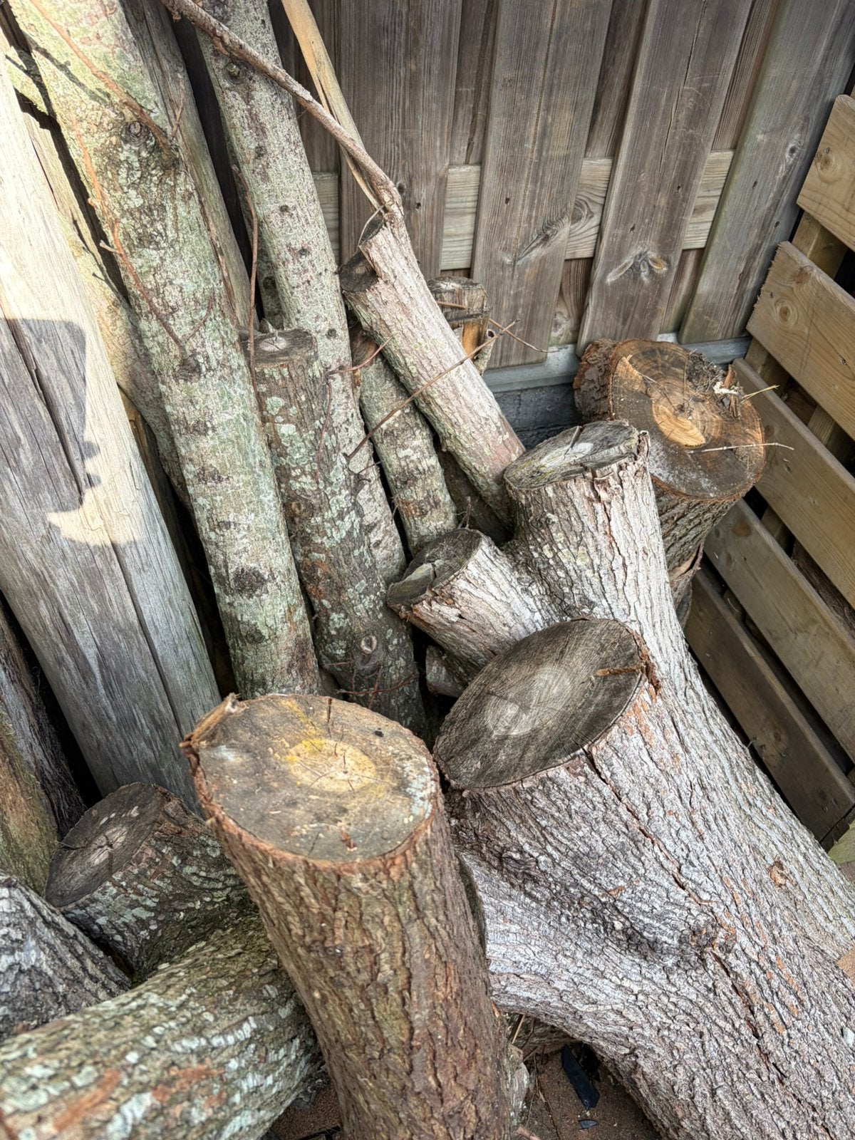Haardhout dikke stammen, Tuin en Terras, Haardhout, Minder dan 3 m³, Ophalen