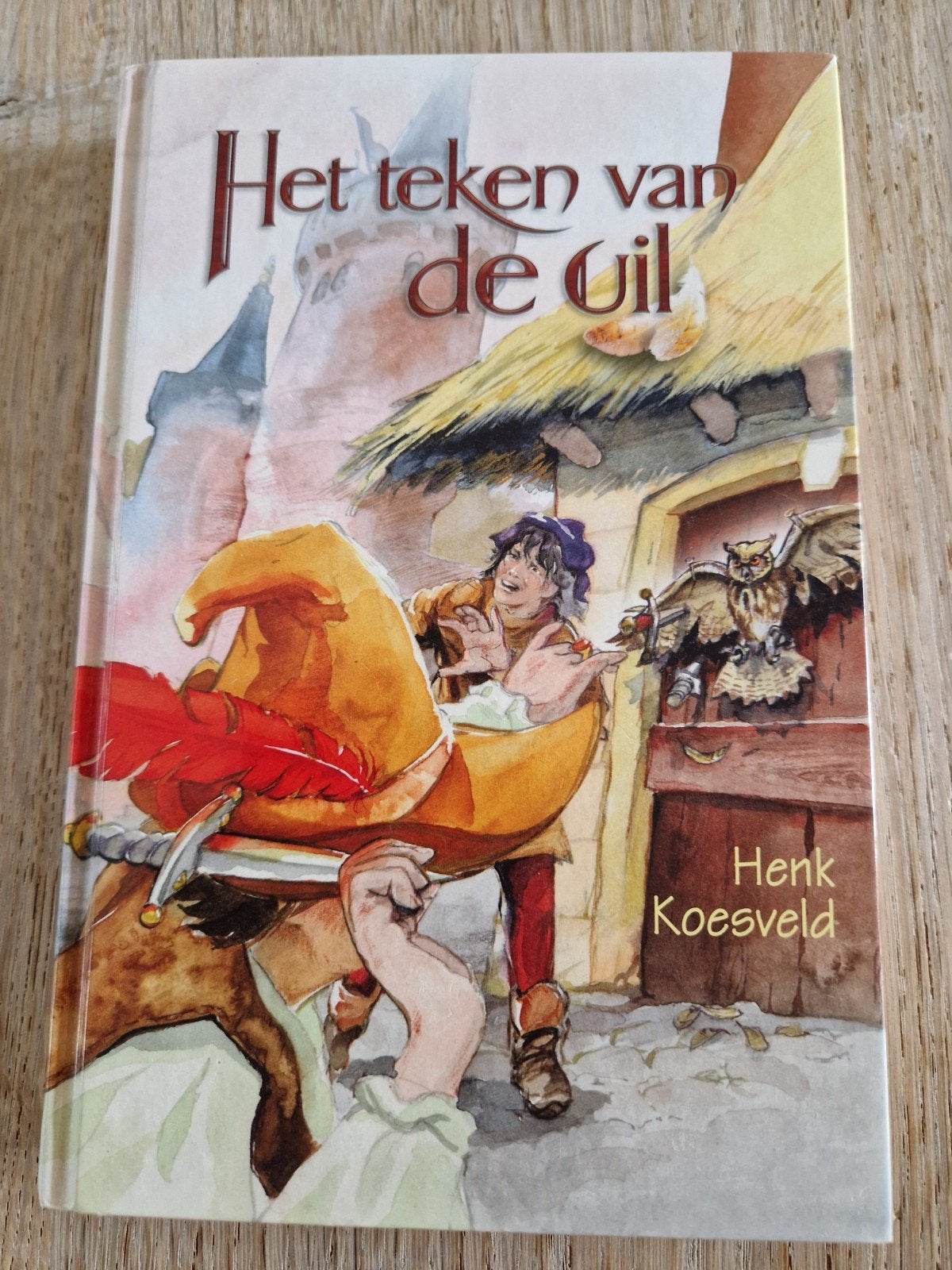 H. Koesveld - Het teken van de uil, Ophalen of Verzenden, Zo goed als nieuw, H. Koesveld