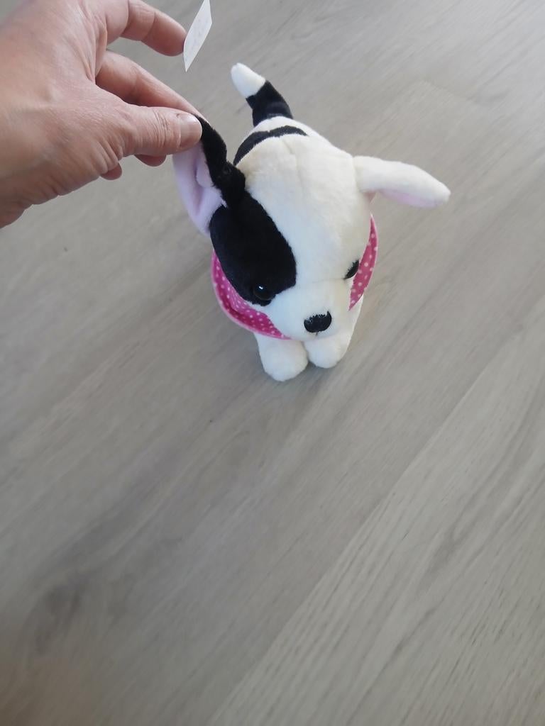 Hondje dat kan blaffen, Ophalen of Verzenden, Hond