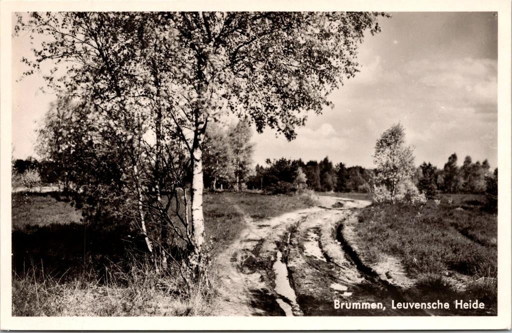 Brummen Leuvensche Heide, Verzenden, 1940 tot 1960, Ongelopen, Gelderland