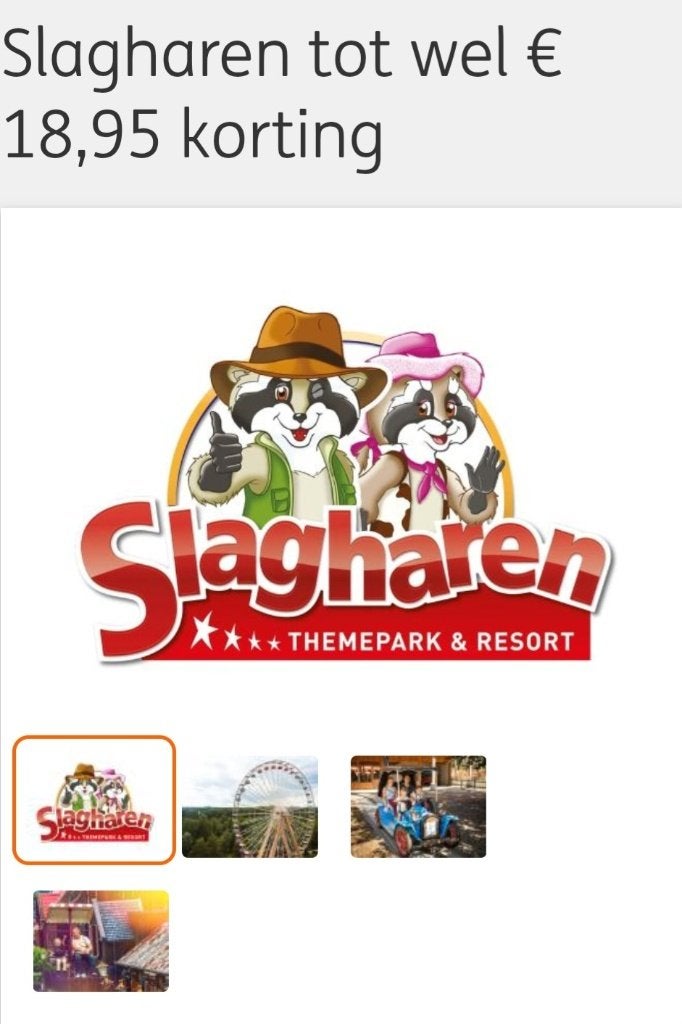 Attractiepark Slagharen tot 18,95 korting, Drie personen of meer, Kortingskaart
