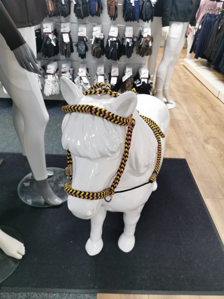 Touw halster verstelbaar, Dieren en Toebehoren, Paarden en Pony's | Hoofdstellen en Tuigage, Overige disciplines, Halster, Overige maten