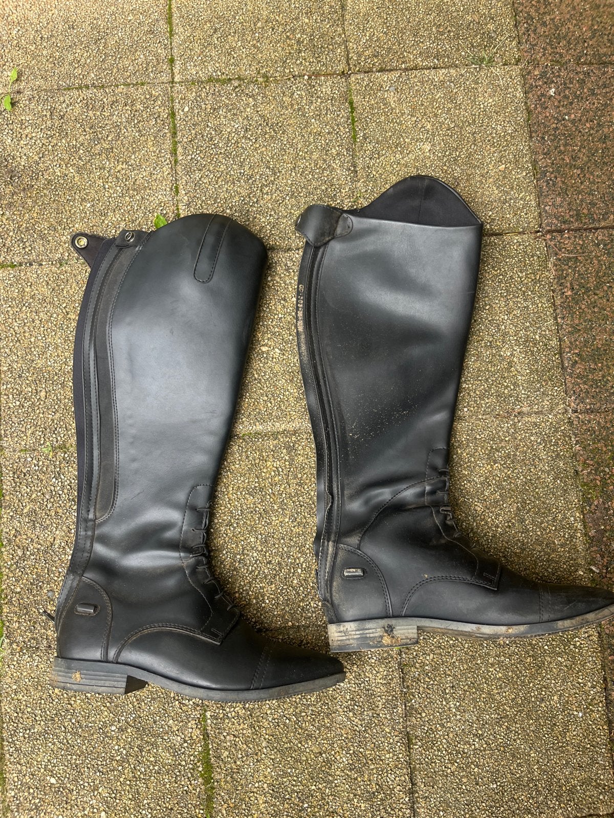 Paardrijlaarzen mt 38 met rits, Dieren en Toebehoren, Paardrijkleding, Ophalen, Gebruikt, Zwart, Schoeisel