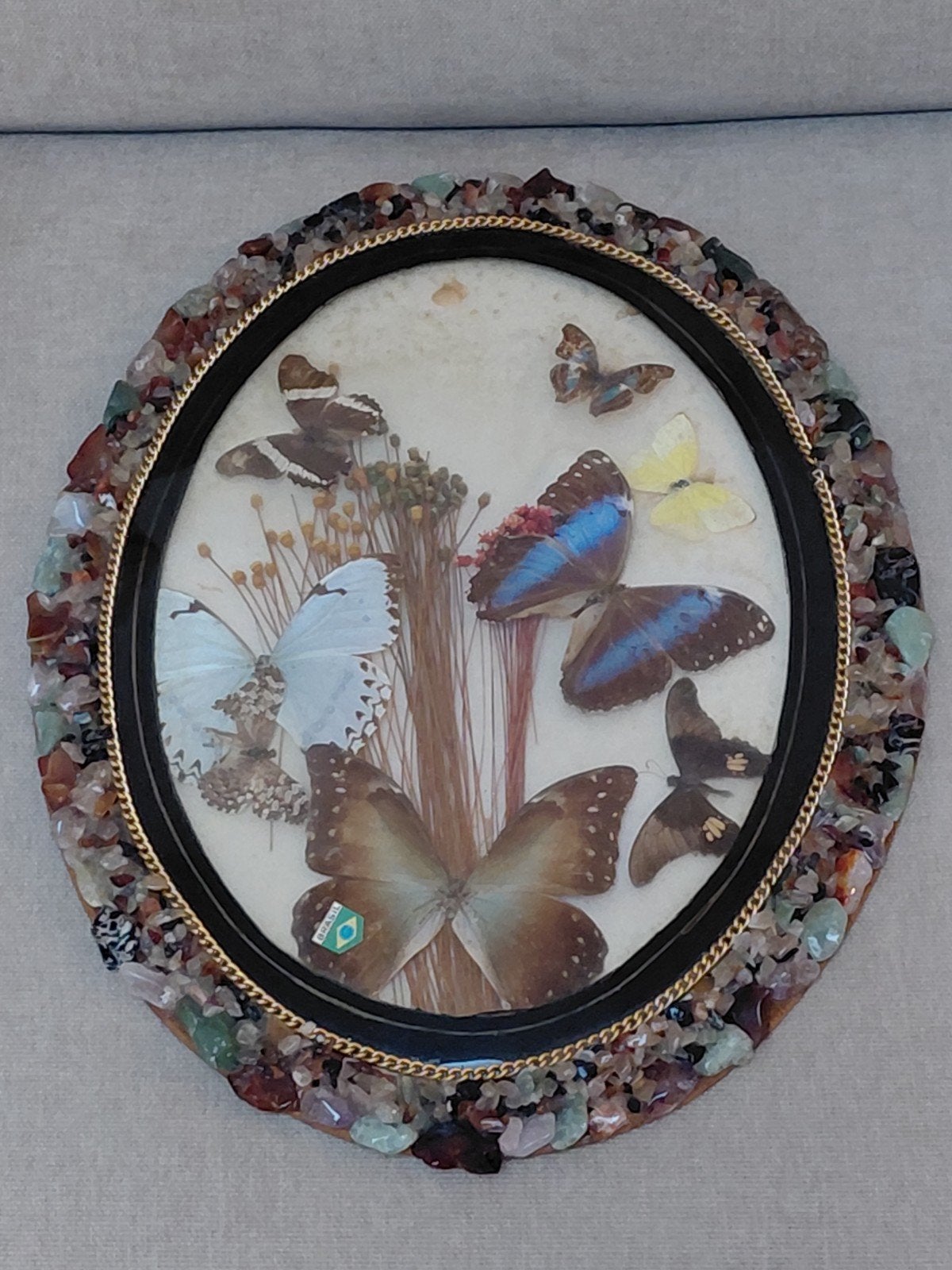 Vintage Braziliaanse taxidermie/vlinderwanddecoratie, Ophalen