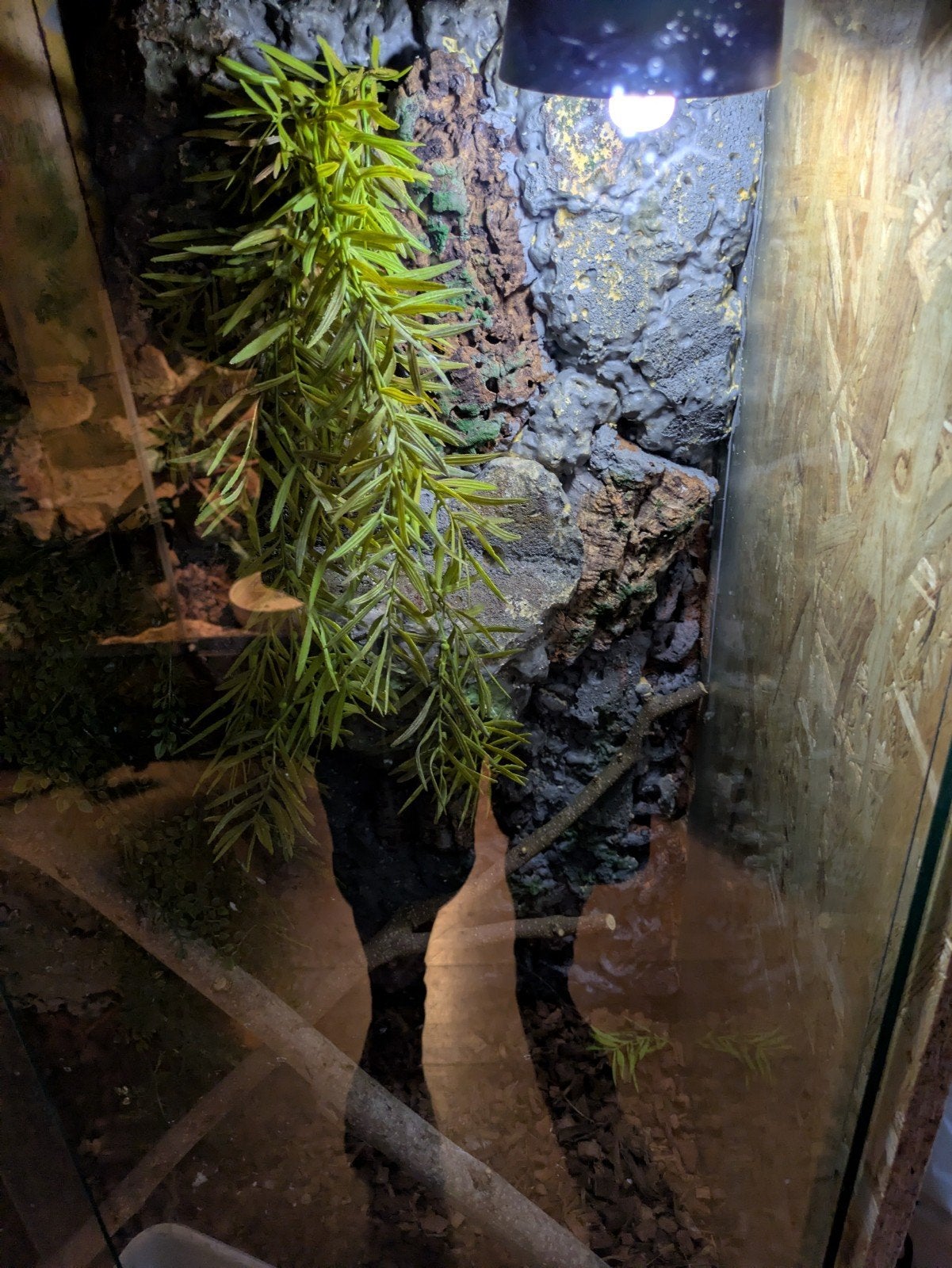 glazen terrarium, Ophalen of Verzenden, Zo goed als nieuw