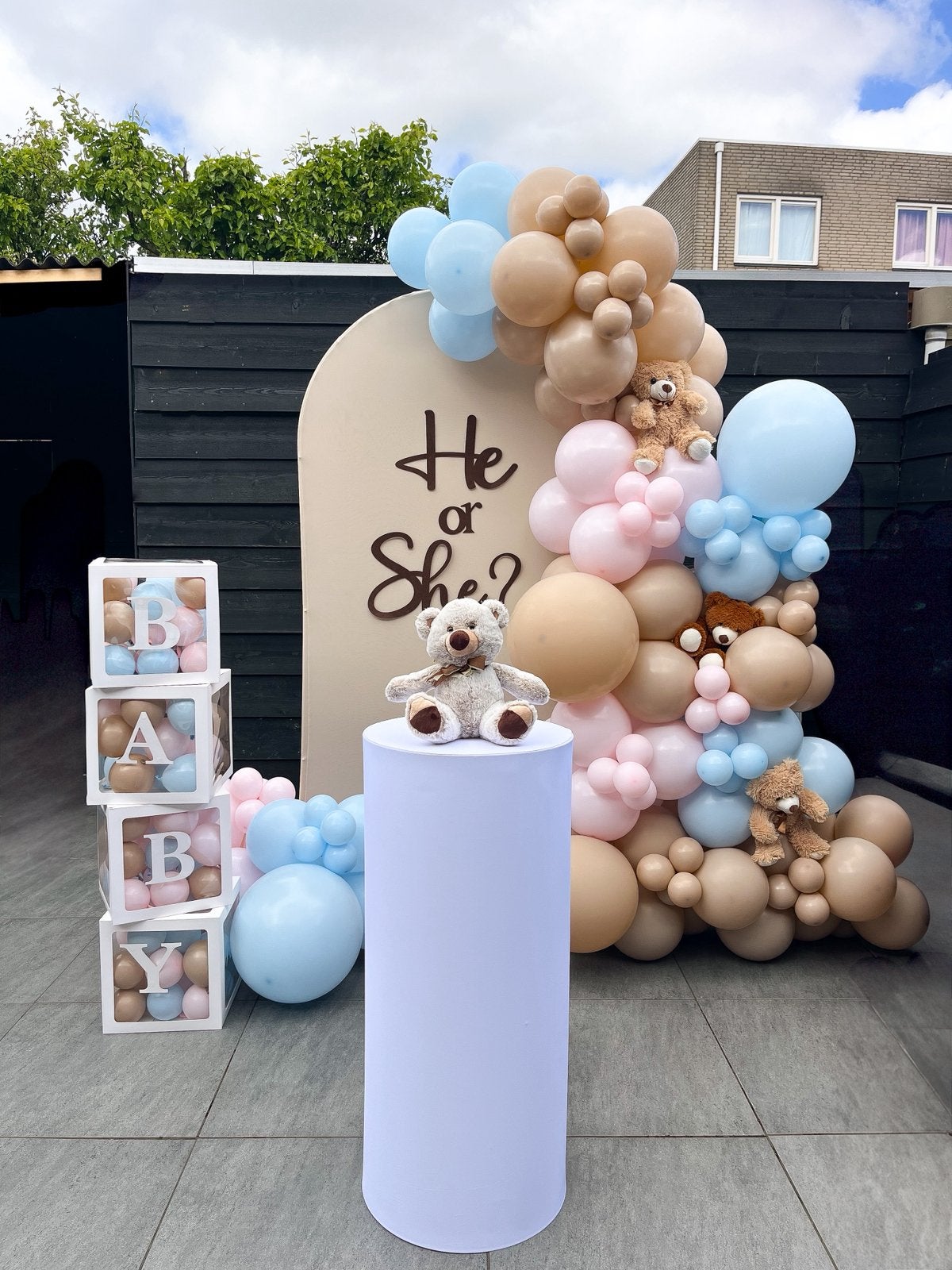 Gender reveal en Babyshower decoratie / Ballonnen Backdrop, Ophalen, Nieuw, Overige