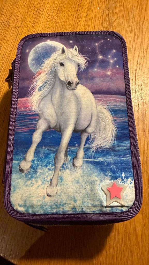 Paarden etui met 3 ritsen van miss melody met licht effecten, Diversen, Schoolbenodigdheden, Zo goed als nieuw, Ophalen of Verzenden
