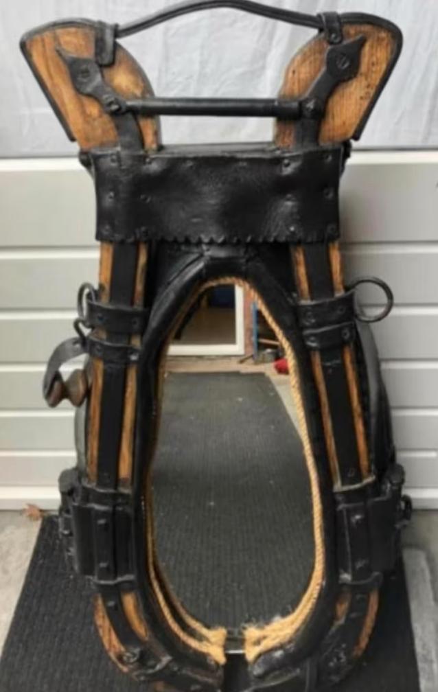 Spiegel van paardenhoofdstel (95x45x15), Ophalen, Gebruikt, Overige soorten