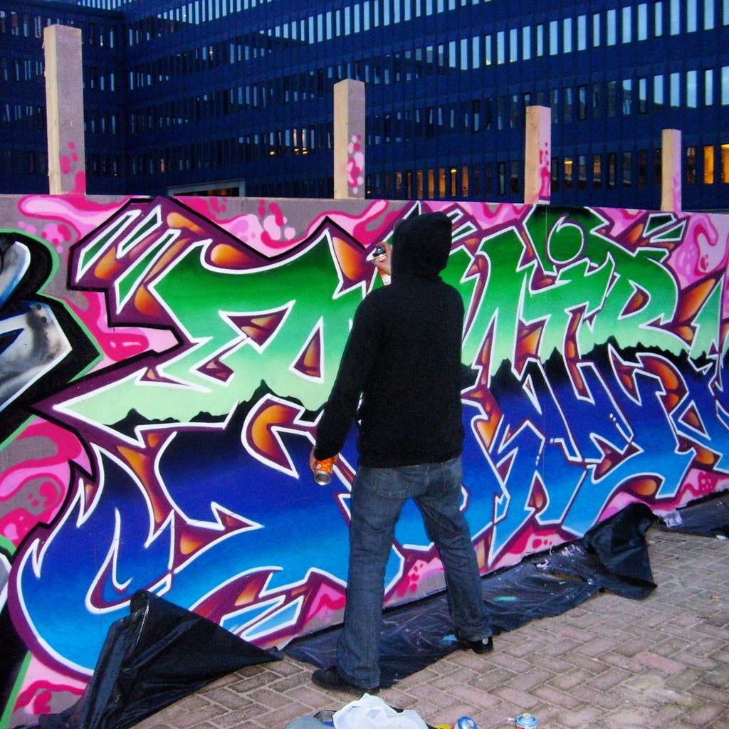 Laat een unieke graffiti muurschildering op maat maken!, Diensten en Vakmensen