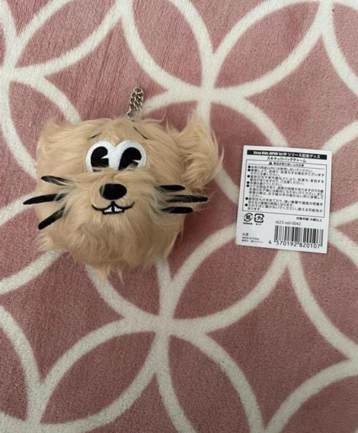 Stray Kids Officiele Social Path bag charm plush, Ophalen of Verzenden, Zo goed als nieuw, Foto of Kaart