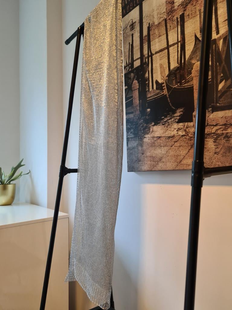 Poirier zilveren metalen stola 190x90cm - Nieuw, Kleding | Dames, Geen merk, Ophalen of Verzenden, Nieuw, One size fits all
