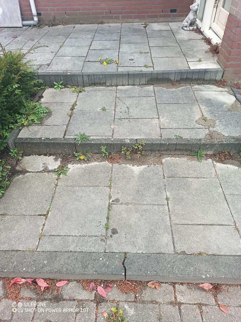 Foto 2 van DE GOEDKOOPSTE professionele oprit reinigen met hogedruk |