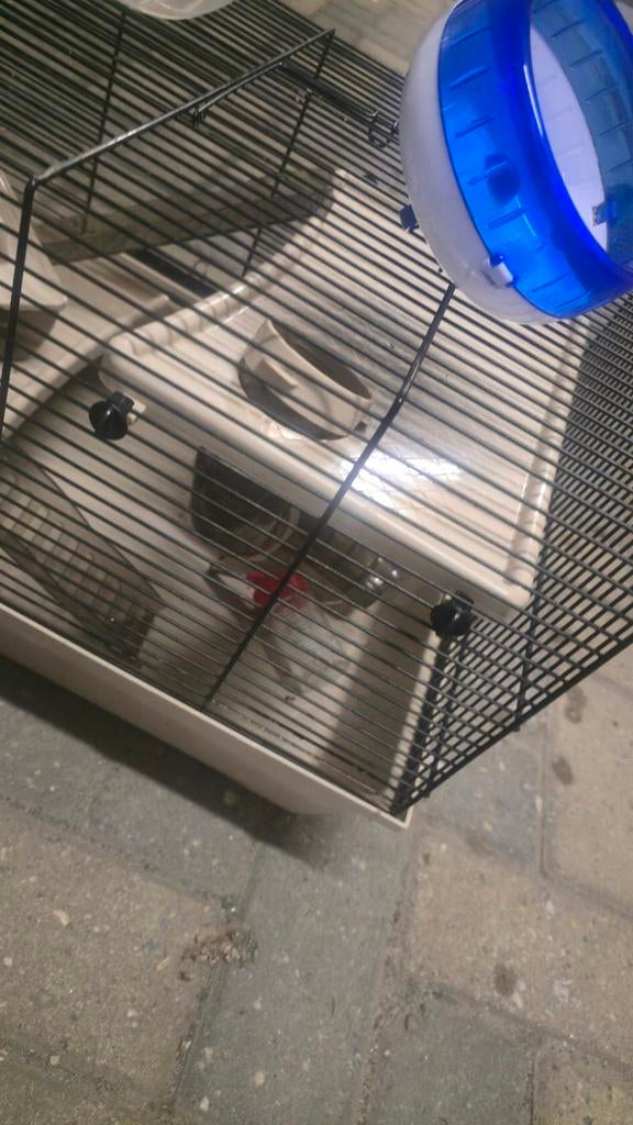 Hamsterkooi met diverse accessoires, Ophalen, Zo goed als nieuw, Konijnen of Knaagdieren