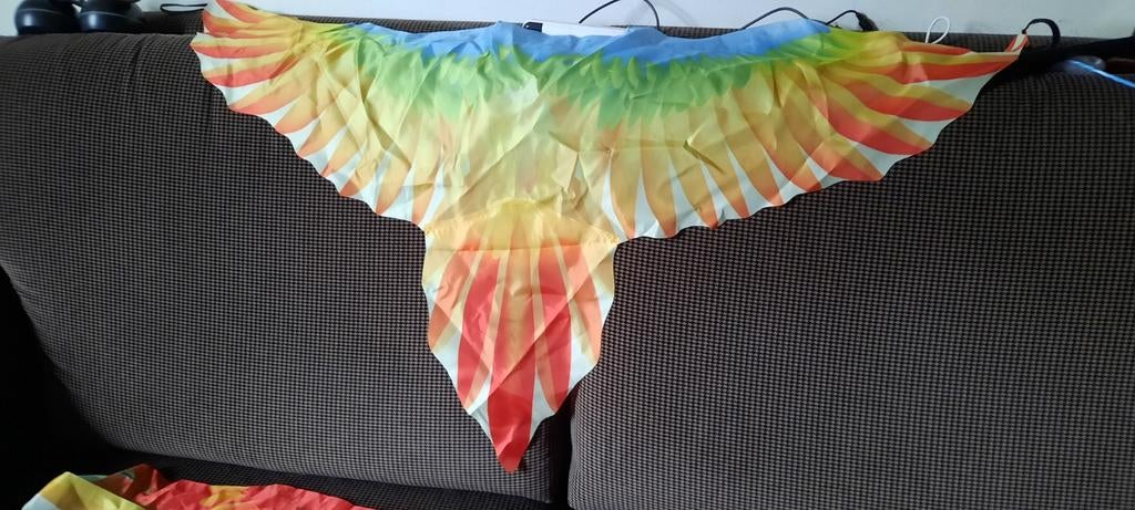 Vogel cape en maskers - Carnaval, Ophalen of Verzenden, Zo goed als nieuw, 170 of groter, Jongen of Meisje