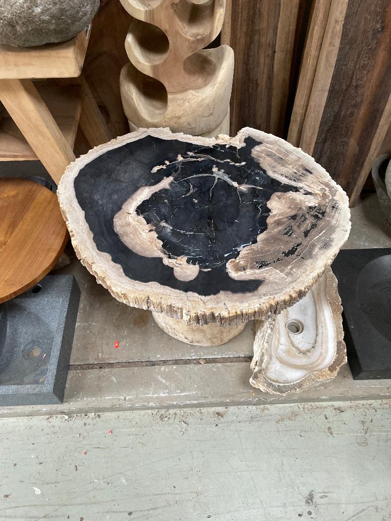 Fossiele schijven versteend hout petrified wood marmer onyx, Verzamelen, Ophalen, Fossiel