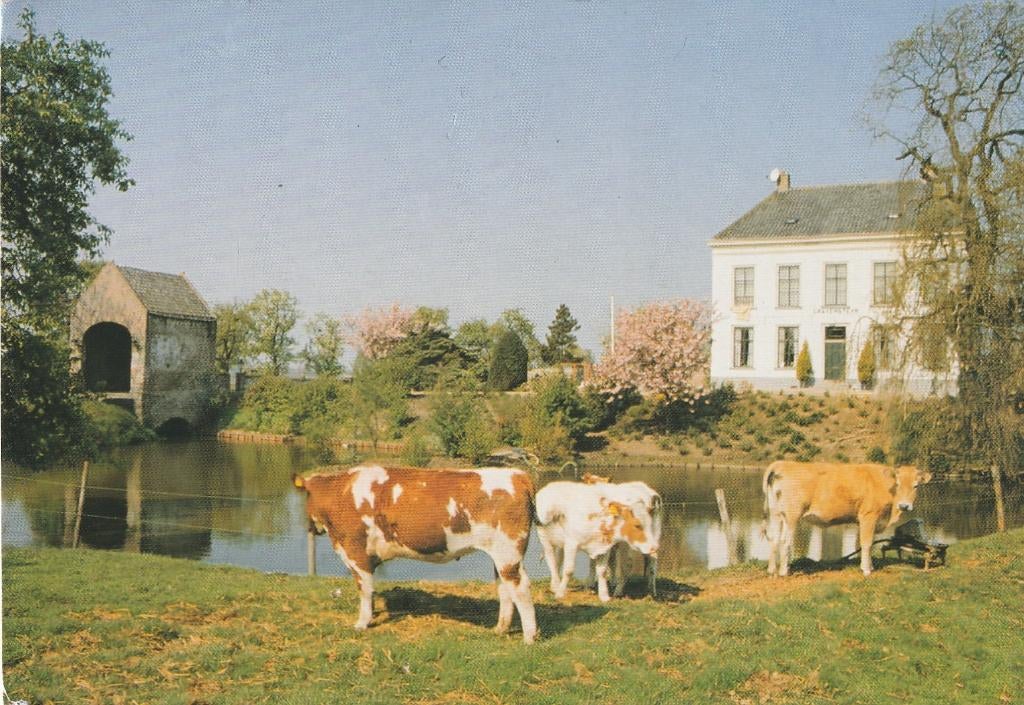 TRICHT Crayenstein met Koeien, Verzamelen, Verzenden, 1980 tot heden, Gelopen, Gelderland