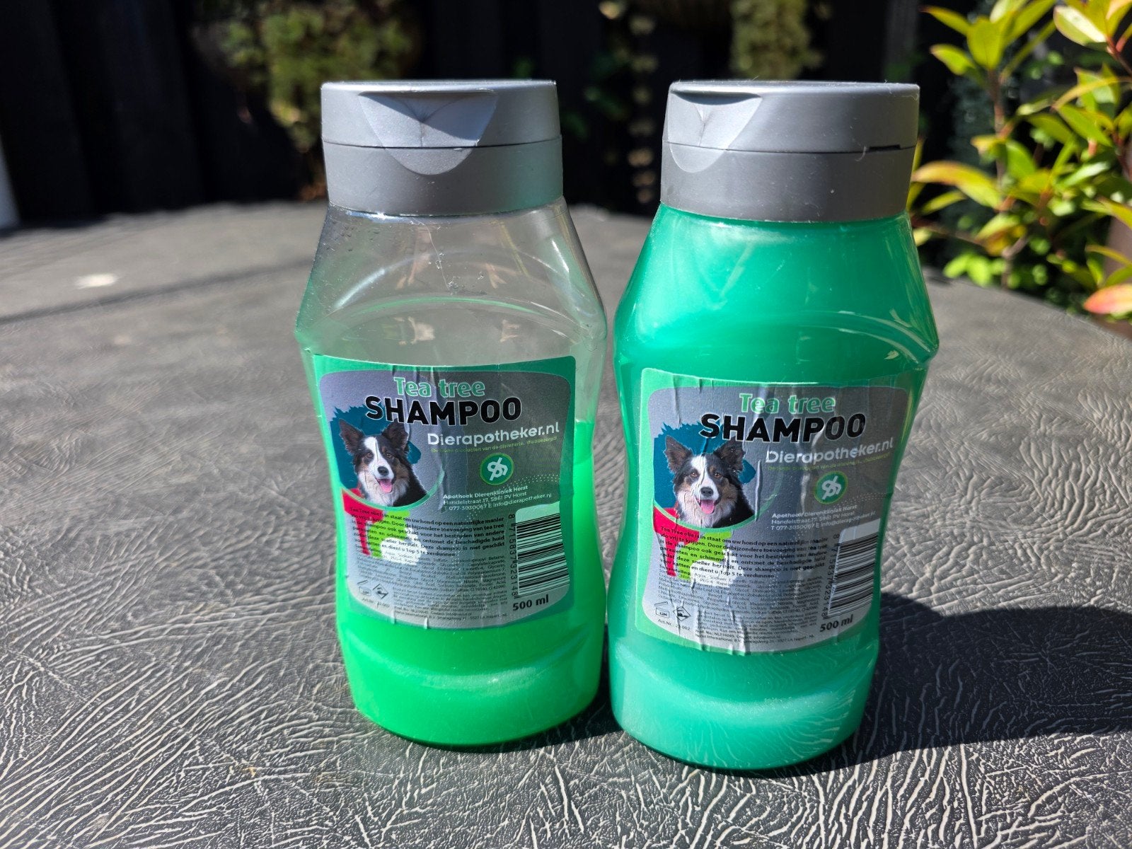 tea tree honden shampoo tegen vlooien bijna gratis, Ophalen of Verzenden, Nieuw