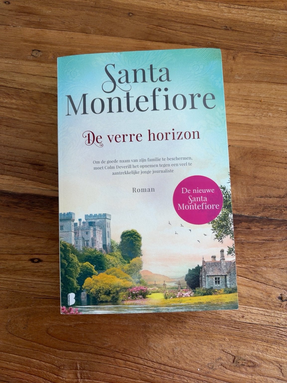 Santa Montefiore - De verre horizon, Boeken, Romans, Zo goed als nieuw, Nederland, Ophalen of Verzenden
