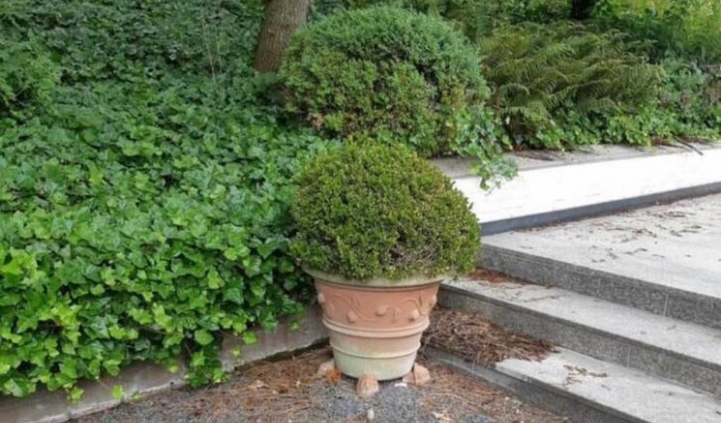Leeuwenkoppen voor grote zware terracotta potten (3 stuks), 40 cm of meer, Rond, Ophalen of Verzenden, Zo goed als nieuw