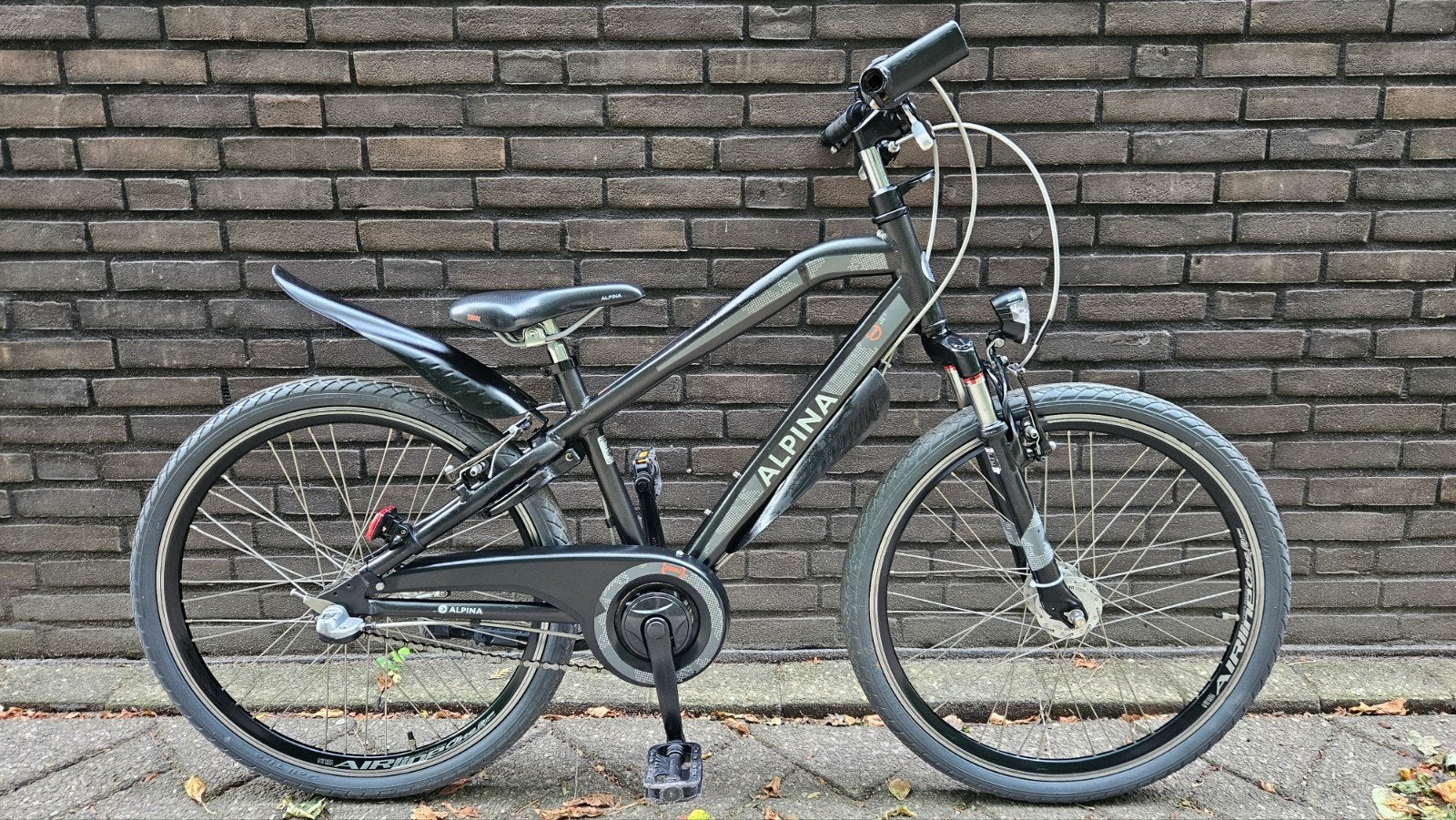 Alpina Trial 24 inch, Ophalen, Terugtraprem, Versnellingen, Batavus Snake Alpina Trial Yabber cube bulls loekie sparta