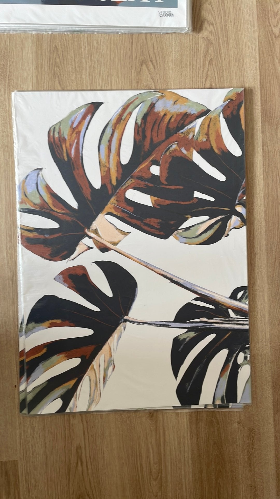 Poster Monstera 50x70cm, Ophalen