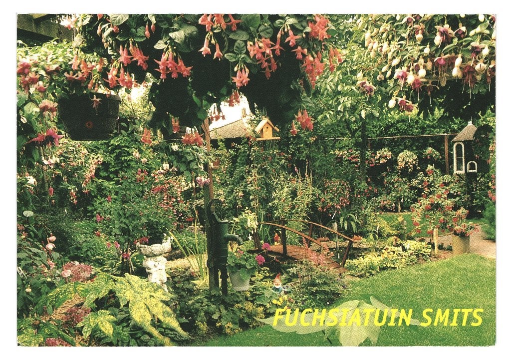 988229 Wemeldinge Zeeland Fuchsiatuin Smits Kinderpostzegel, Ophalen of Verzenden, 1980 tot heden, Gelopen, Zeeland
