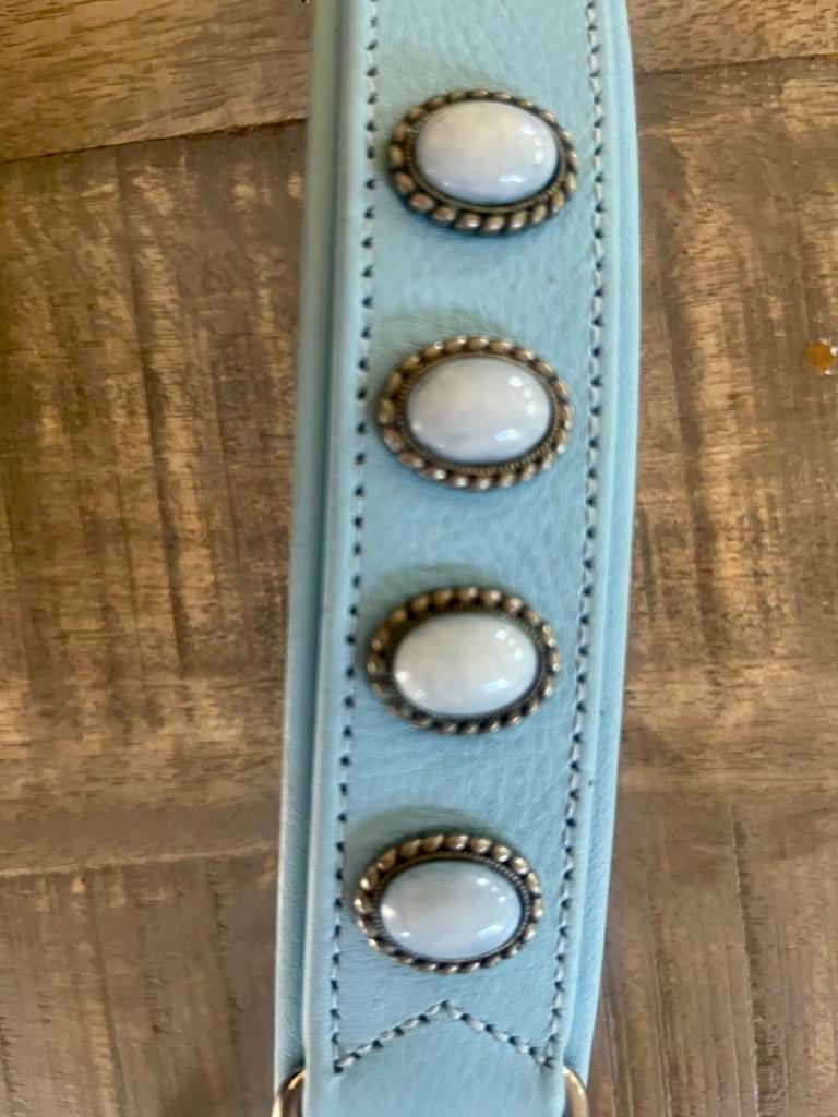 Hondenhalsband blauw leer nieuw, Ophalen of Verzenden, Nieuw