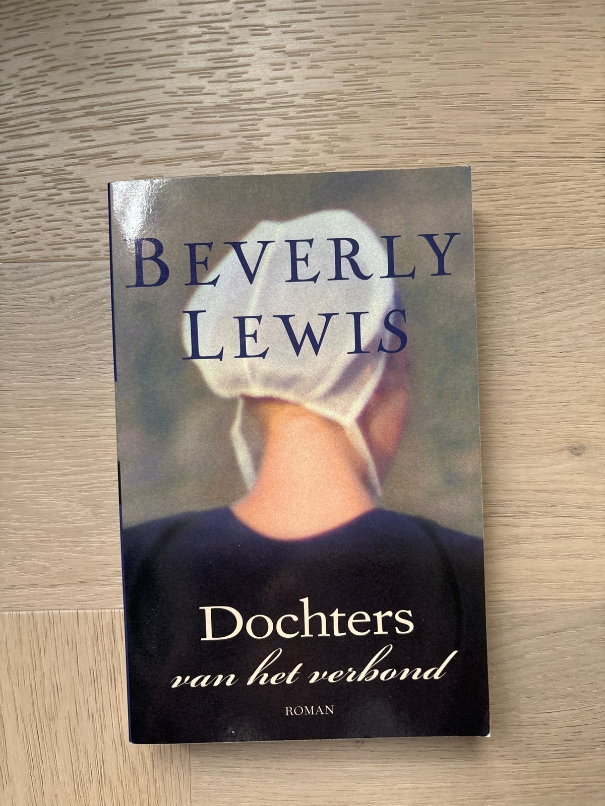 Dochters van het verbond - Beverly Lewis (roman), Boeken, Ophalen of Verzenden, Gelezen, Nederland