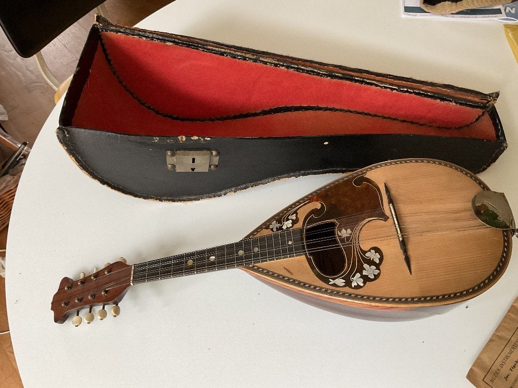 Mandoline maker uit Leeuwarden 1924 velo Maastricht + kist, Ophalen of Verzenden, Gebruikt
