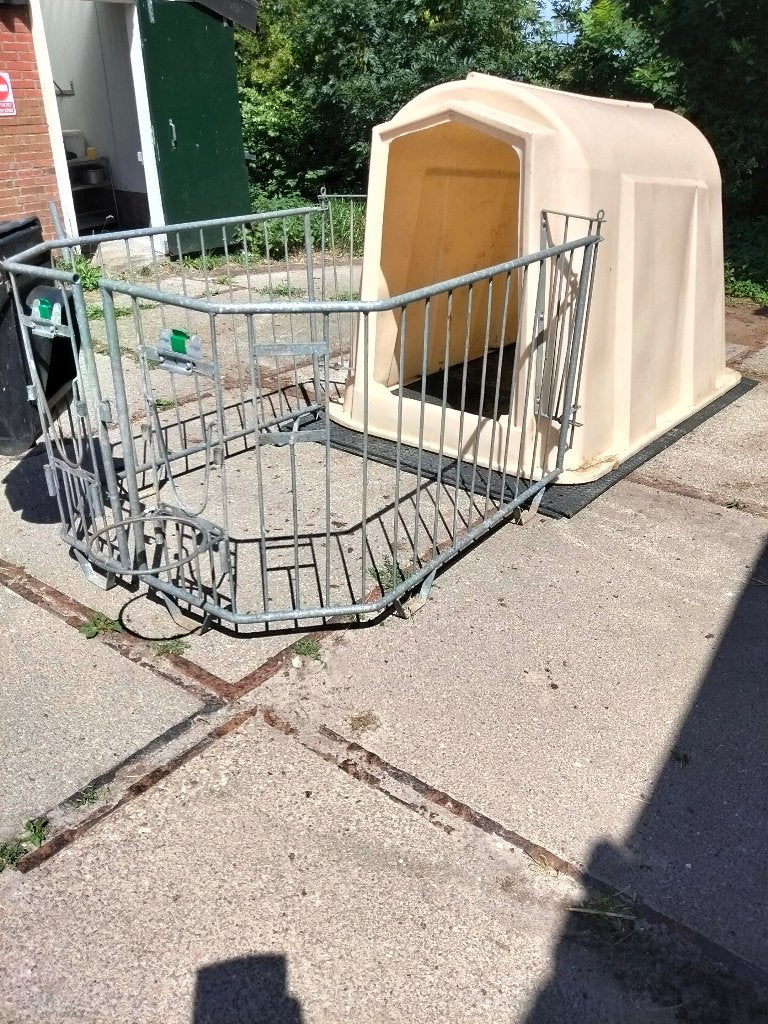 Kalveriglo, kalverhok, Dieren en Toebehoren, Stalling en Weidegang, Opfok