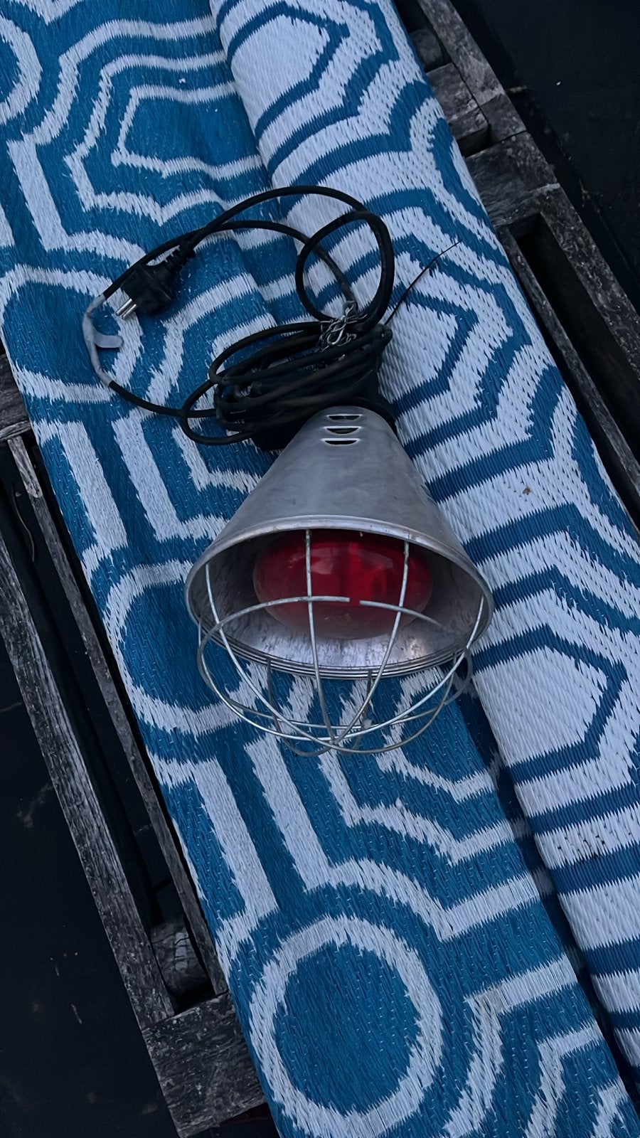 Warmtelamp met rode lamp en beschermkooi, Overige merken, Gebruikt, Industrieel, E27 (groot)
