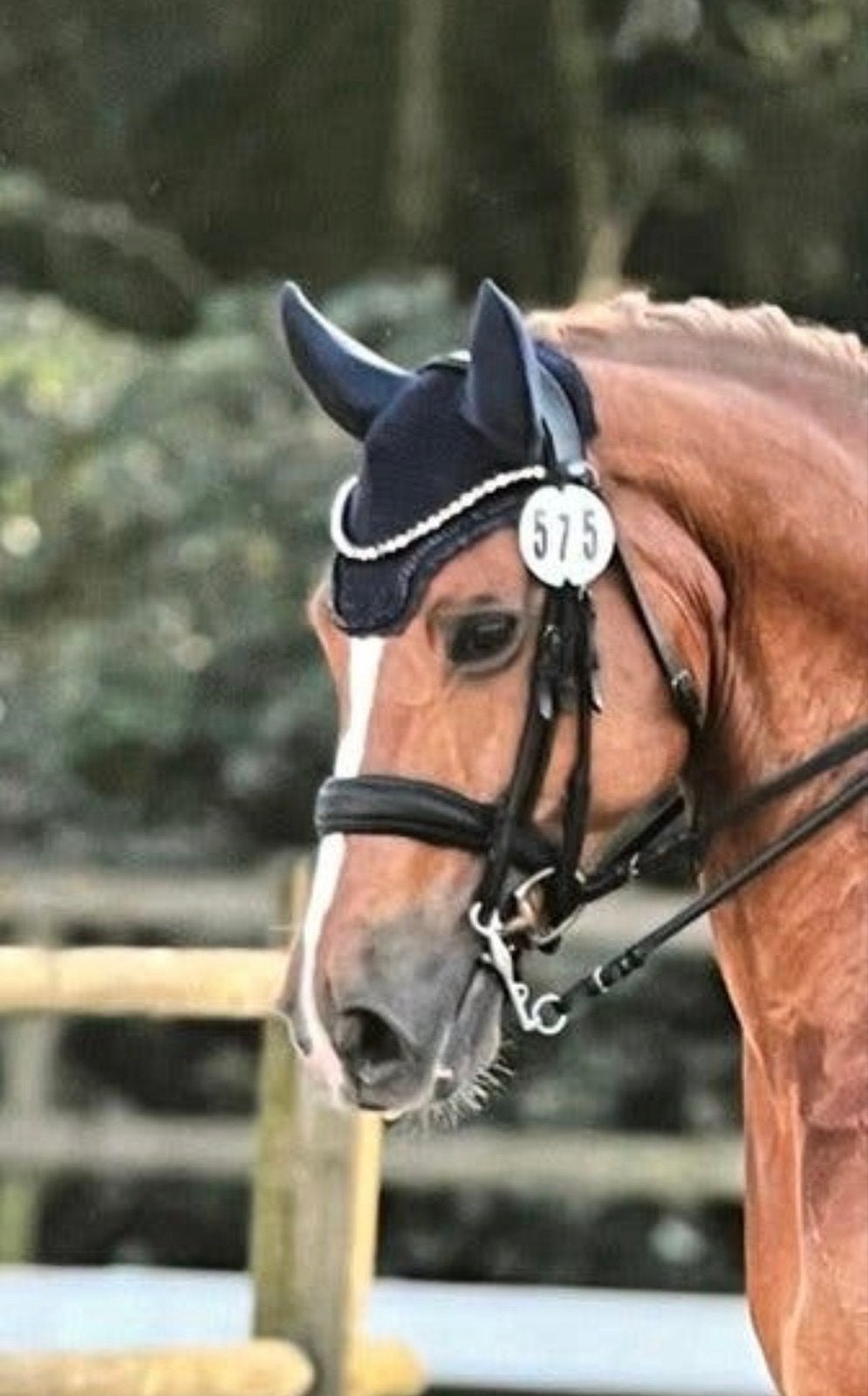 Hoofdstel ps of sweden, Dieren en Toebehoren, Ophalen of Verzenden